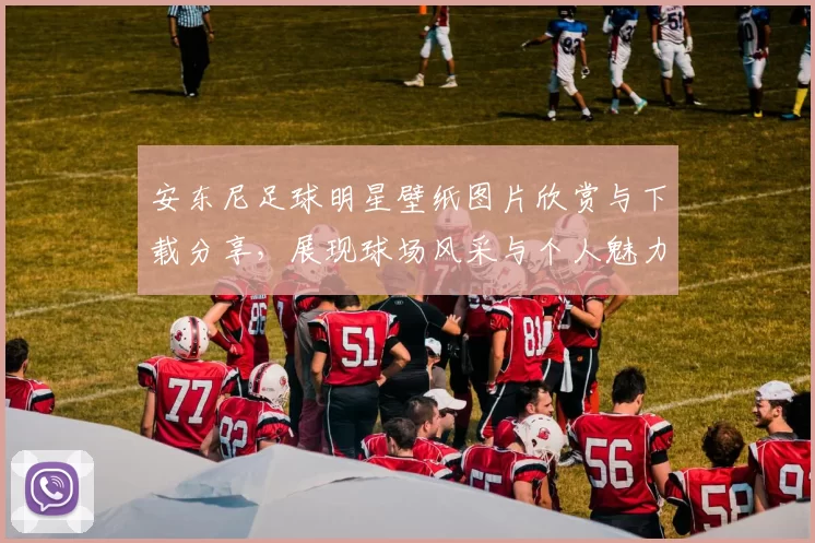 安东尼足球明星壁纸图片欣赏与下载分享，展现球场风采与个人魅力