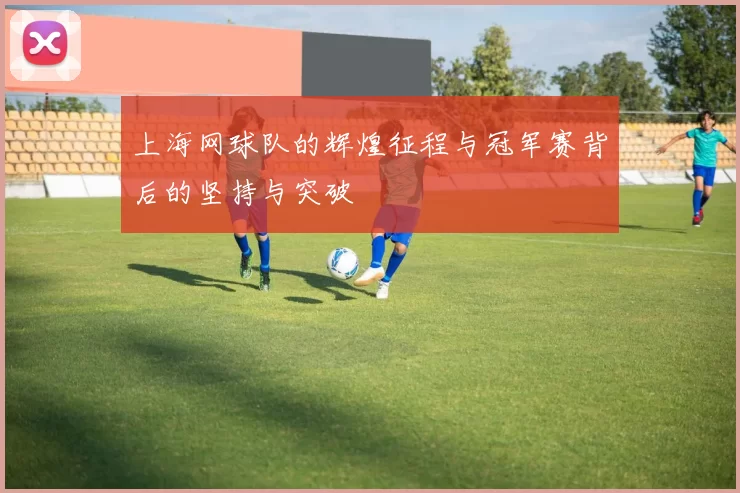 上海网球队的辉煌征程与冠军赛背后的坚持与突破