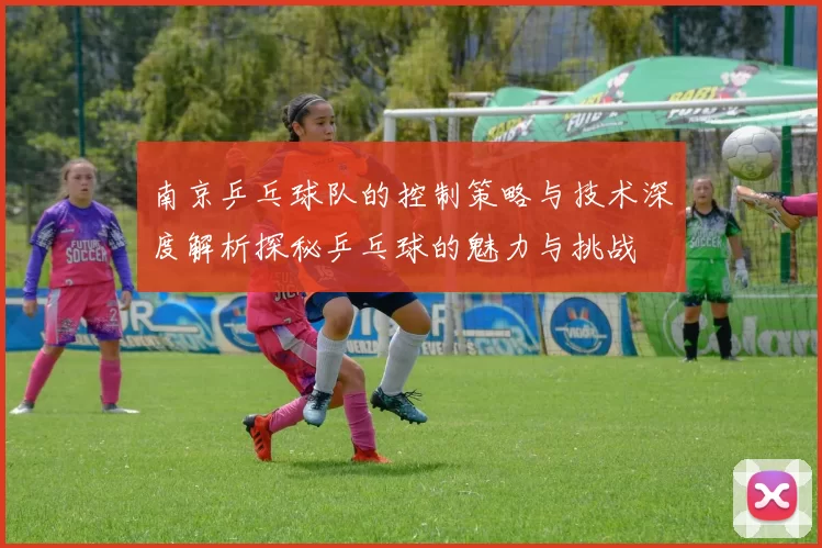 南京乒乓球队的控制策略与技术深度解析探秘乒乓球的魅力与挑战