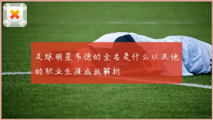 足球明星韦德的全名是什么以及他的职业生涯成就解析