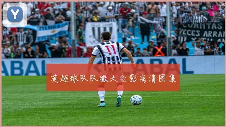 英超球队队徽大合影高清图集