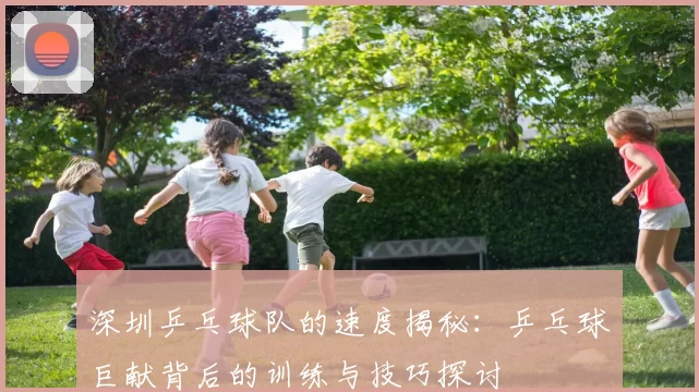 深圳乒乓球队的速度揭秘：乒乓球巨献背后的训练与技巧探讨