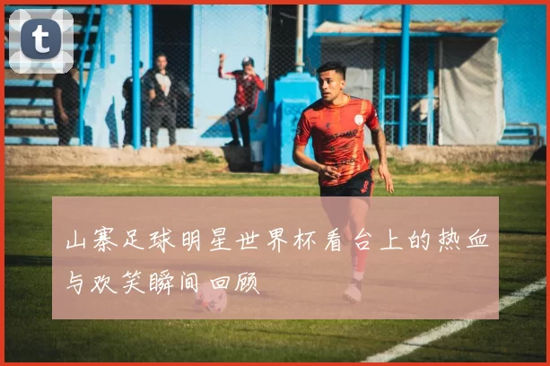 山寨足球明星世界杯看台上的热血与欢笑瞬间回顾