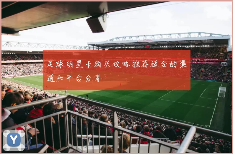 足球明星卡购买攻略推荐适合的渠道和平台分享