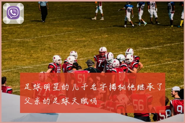 足球明星的儿子名字揭秘他继承了父亲的足球天赋吗