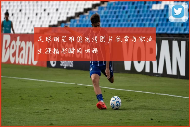 足球明星维德高清图片欣赏与职业生涯精彩瞬间回顾