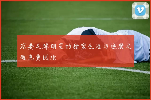 宠妻足球明星的甜蜜生活与逆袭之路免费阅读
