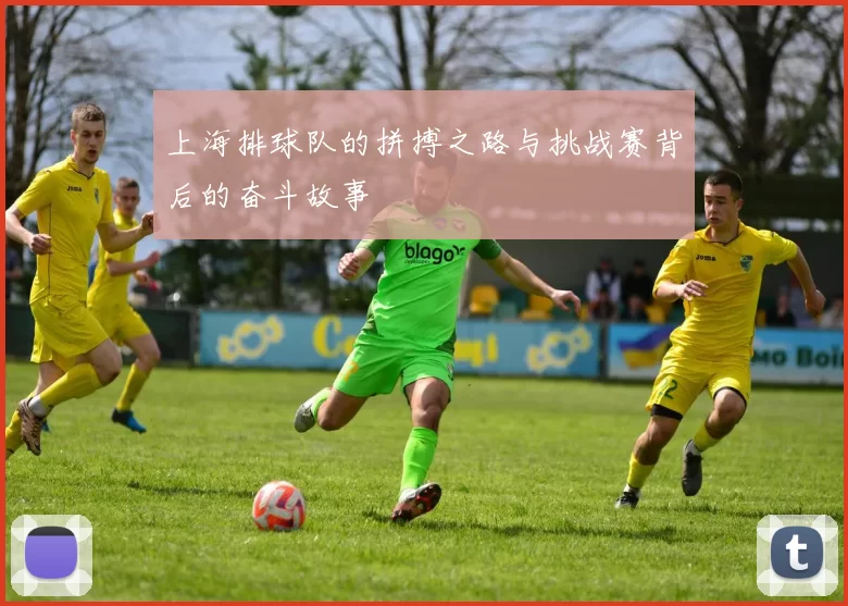 上海排球队的拼搏之路与挑战赛背后的奋斗故事